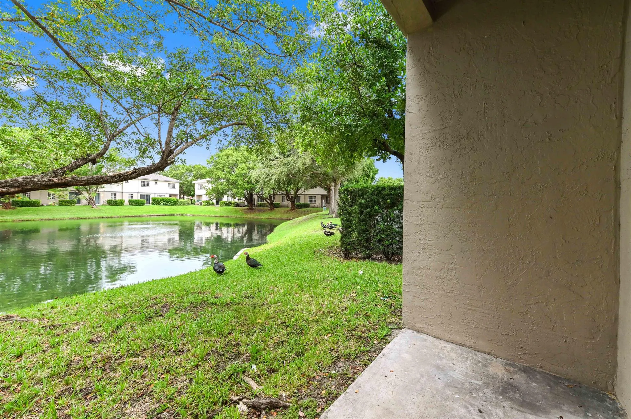 975 Tortuga Lane