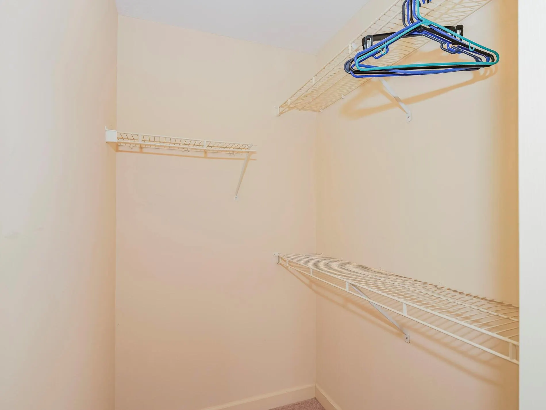301 S Wimbrow Drive, #B