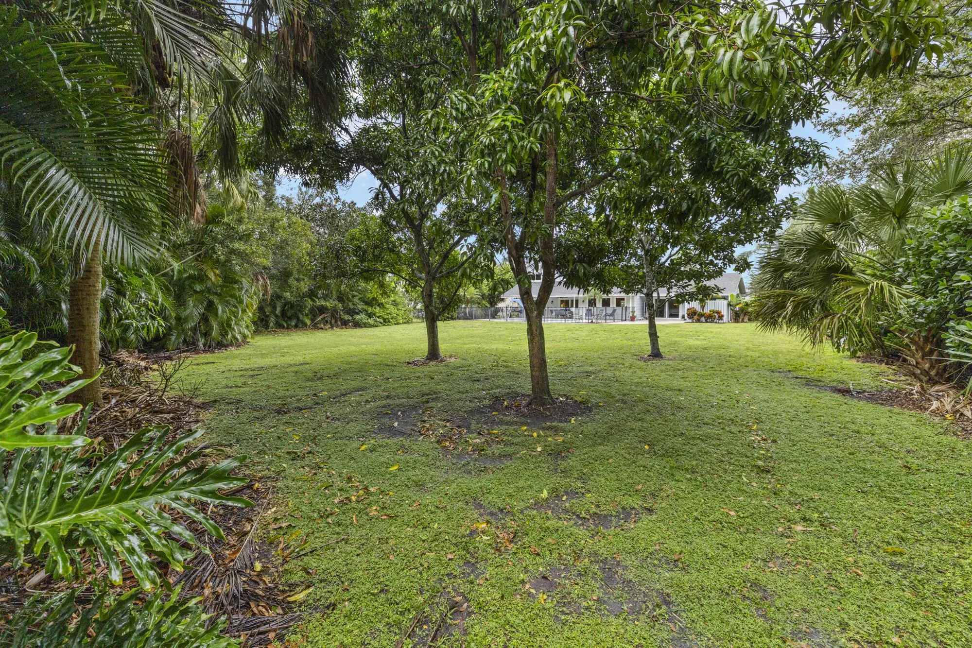 6595 Wood Lake Road