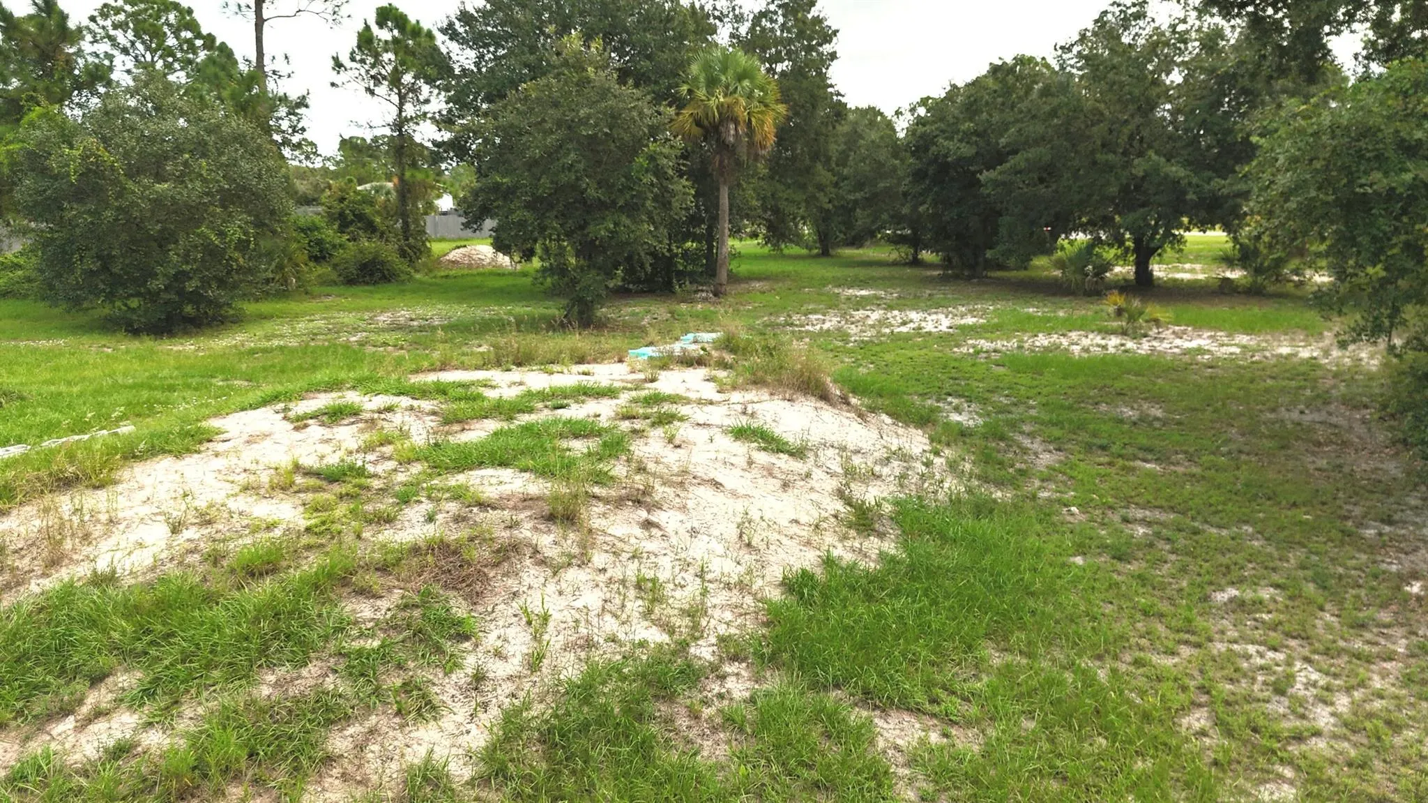 830 S Cabbage Palms St. Street