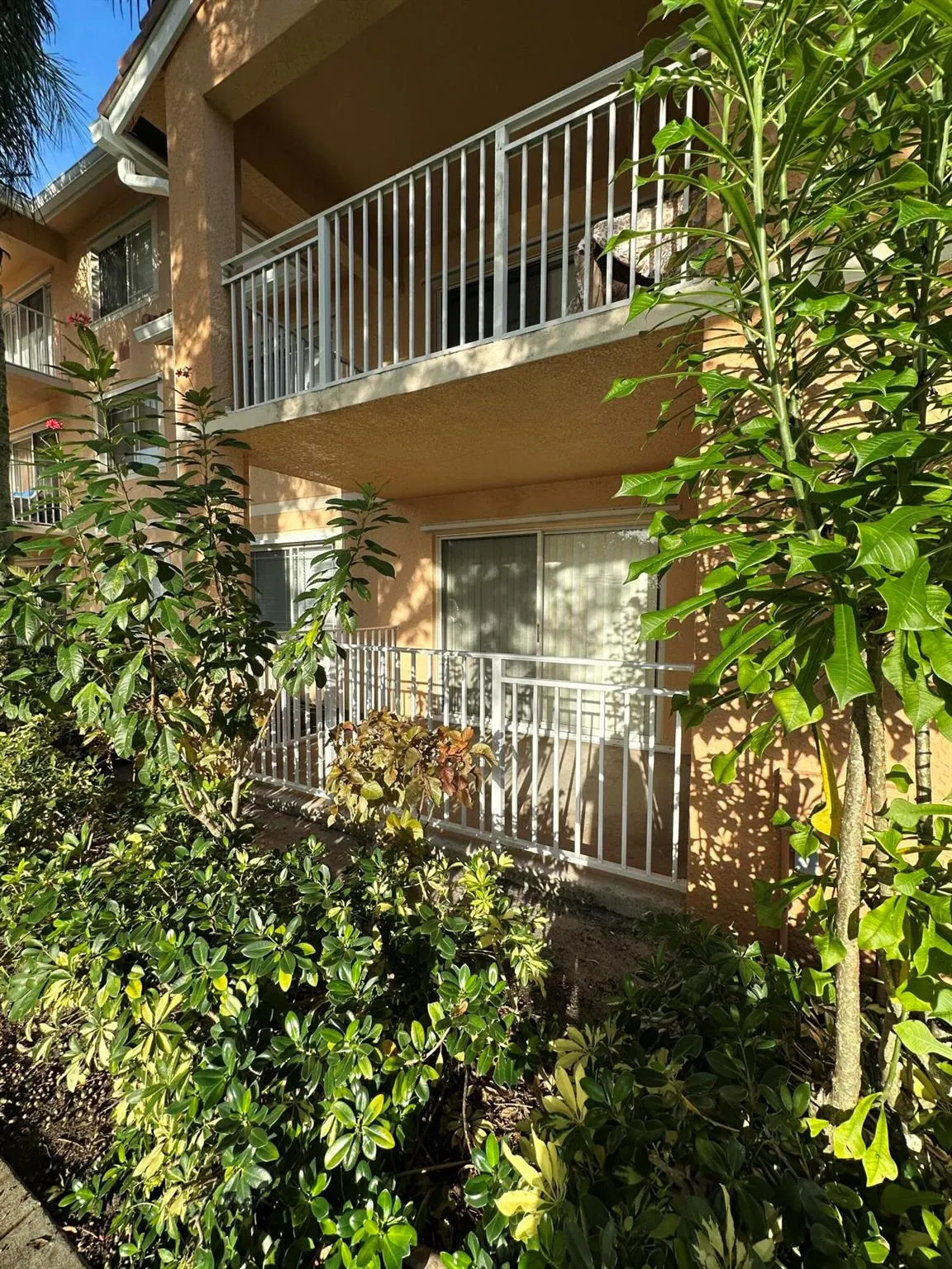 191 SW Palm Drive, #107