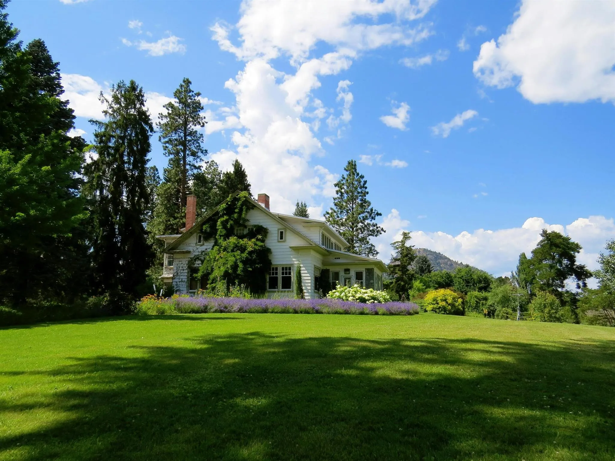Landscaping Business