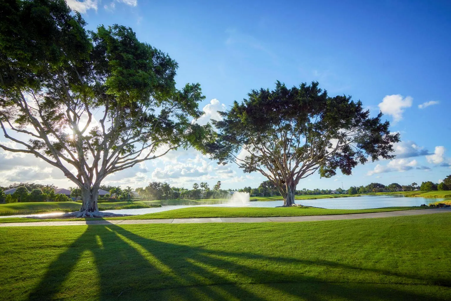 7641 Gumbo Limbo Court