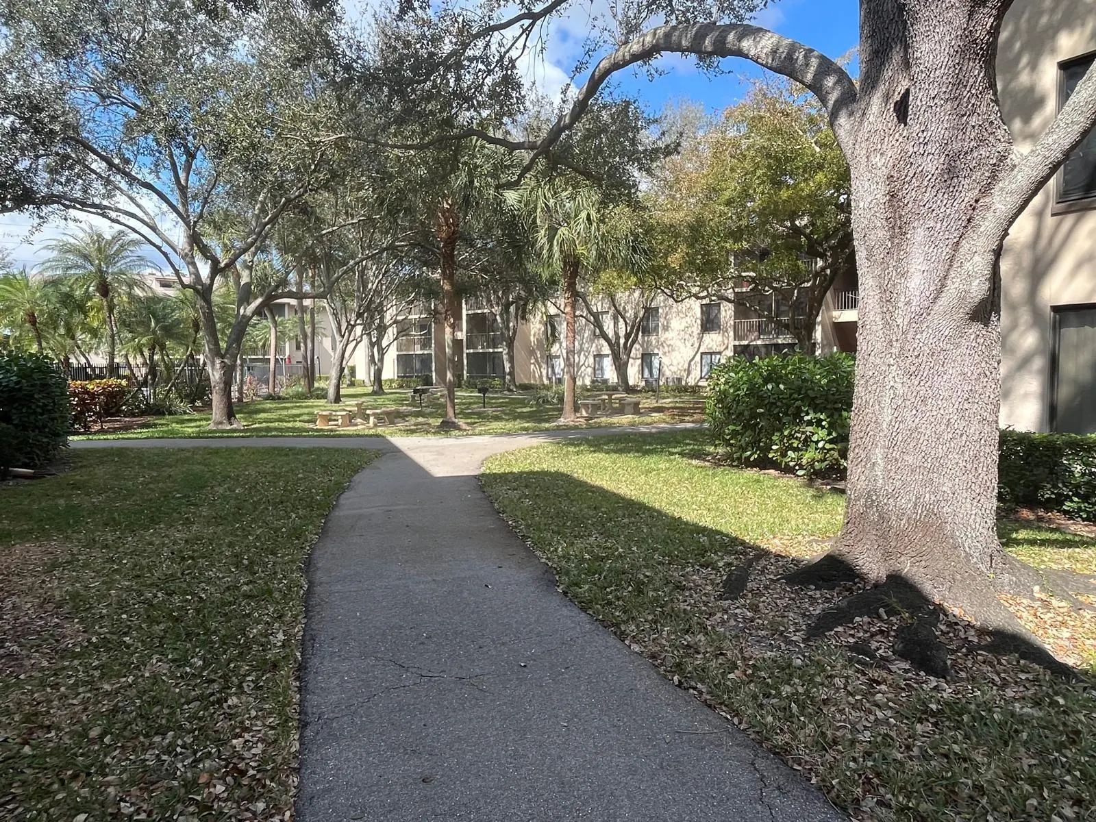 209 Foxtail Drive, #B1