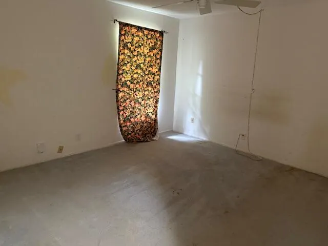 169 Dove Circle