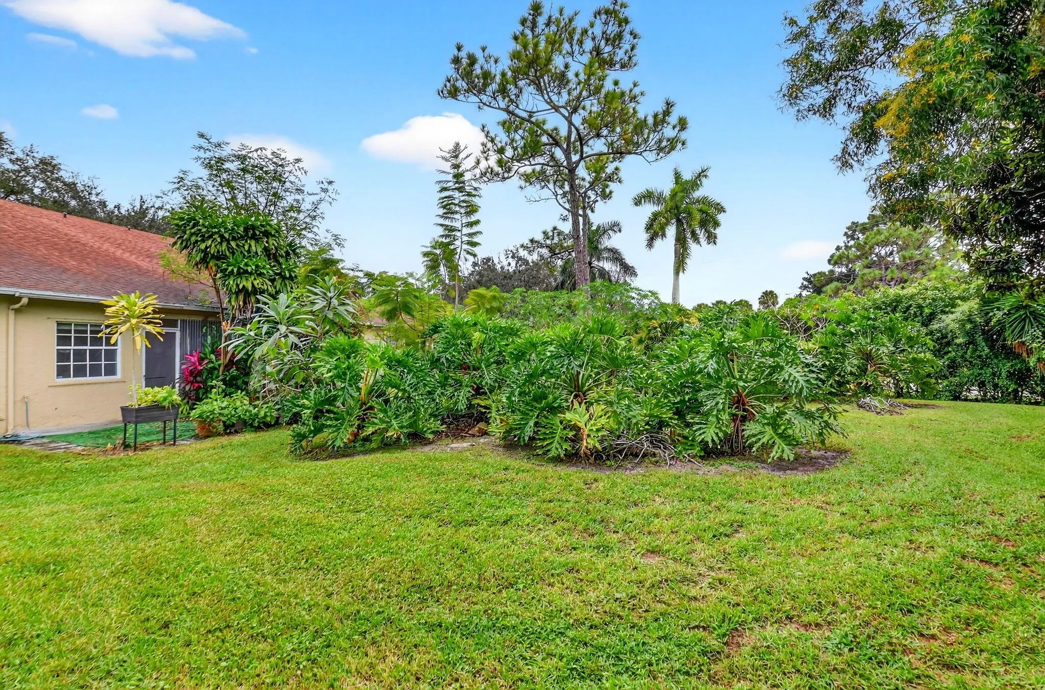 203 Maplewood Drive
