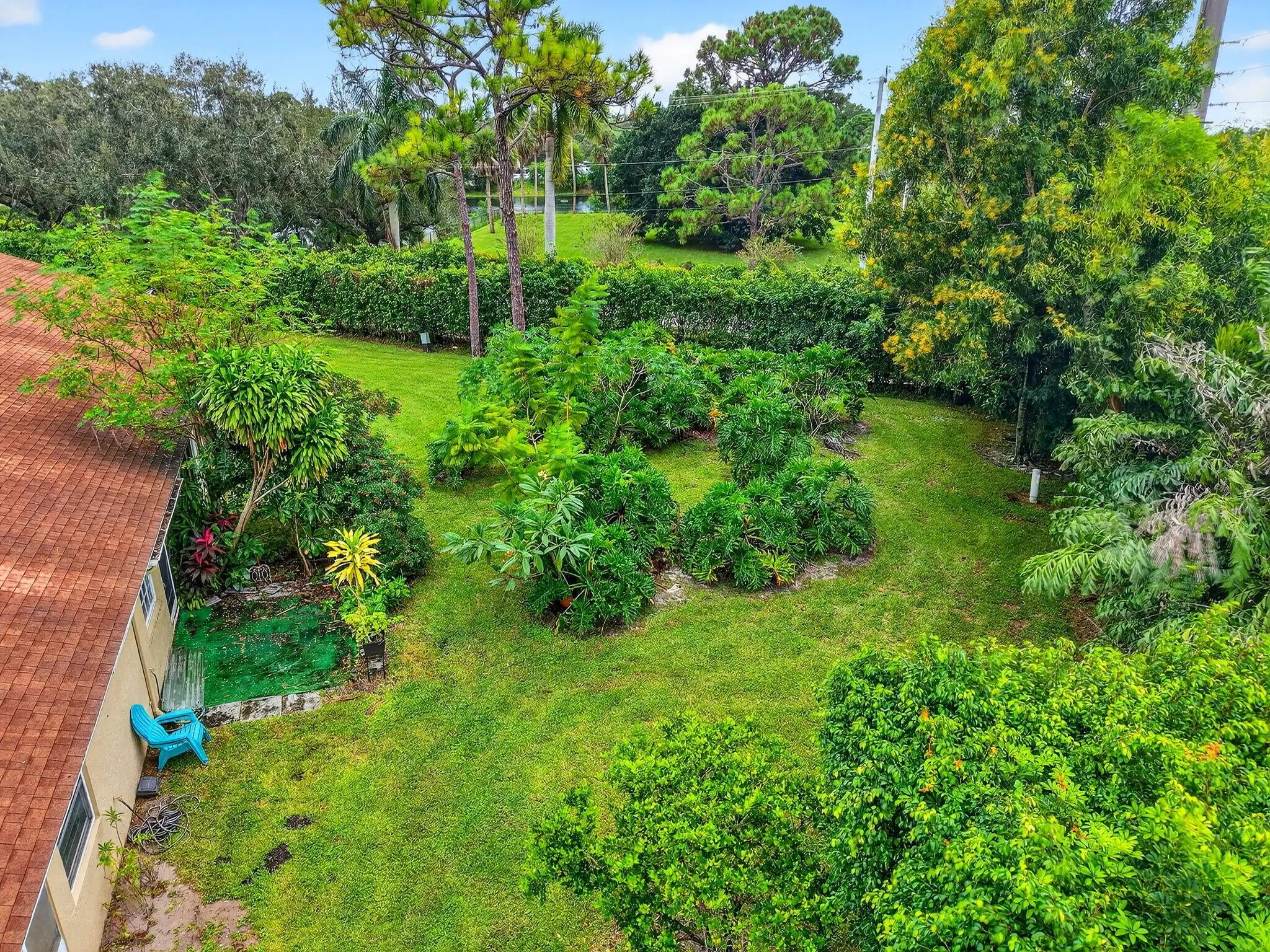203 Maplewood Drive