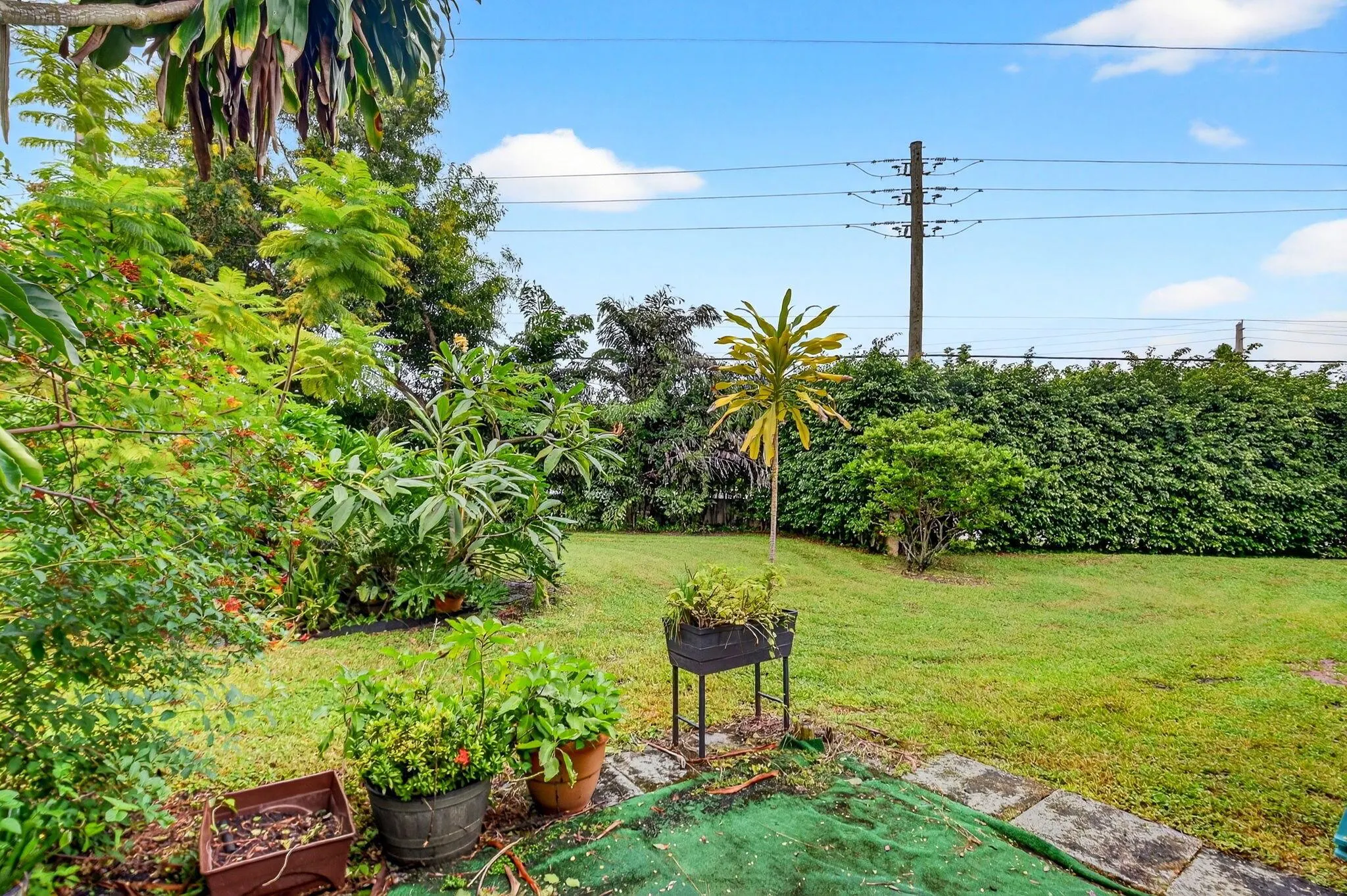 203 Maplewood Drive