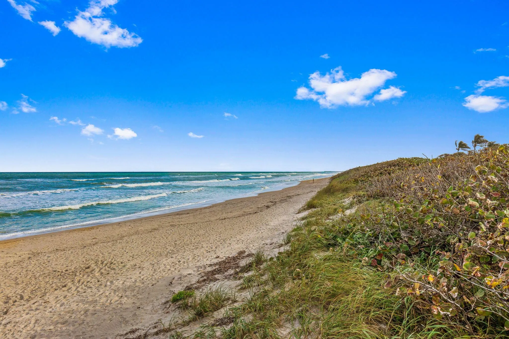 2000 S Highway A1a Highway, #N603