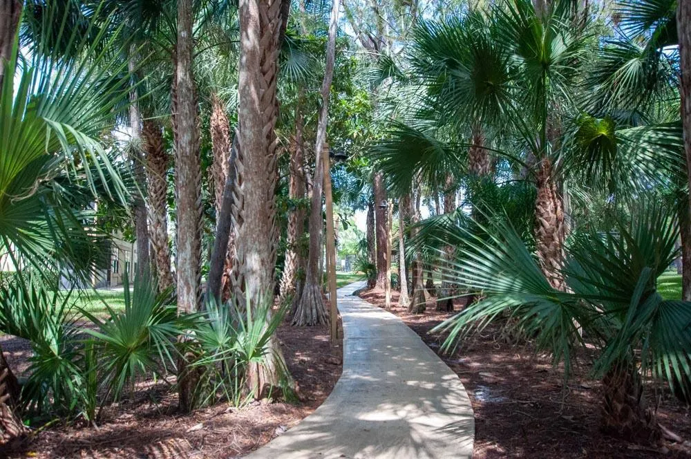 12989 Odessa Trail, #6