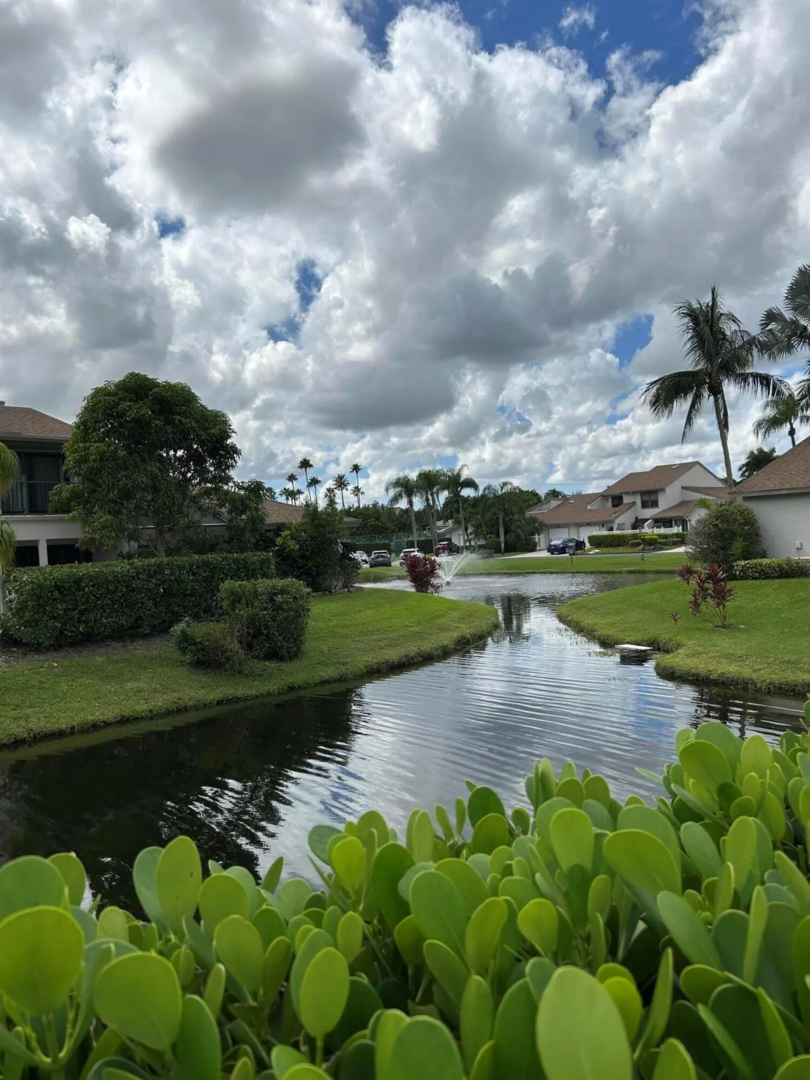 6668 Canary Palm Circle, #11