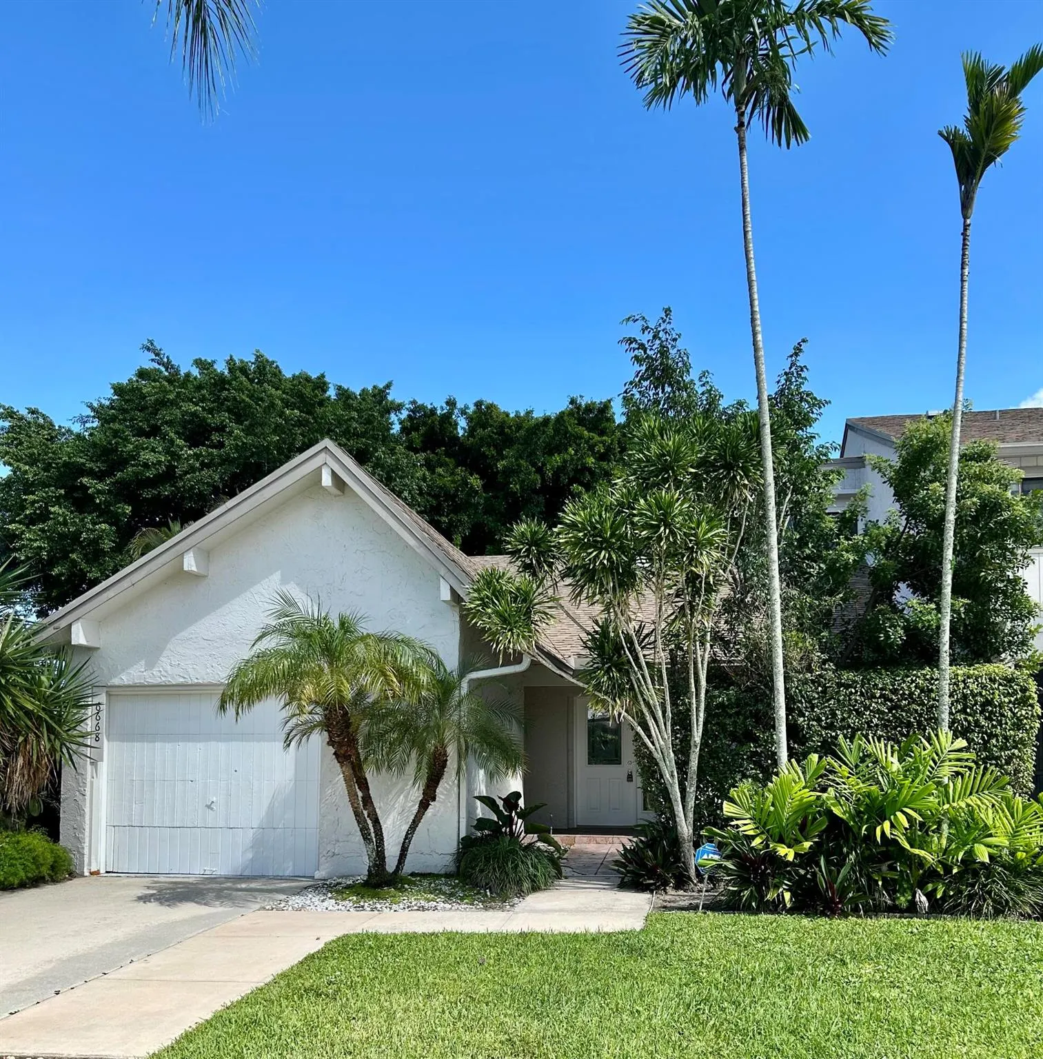 6668 Canary Palm Circle, #11