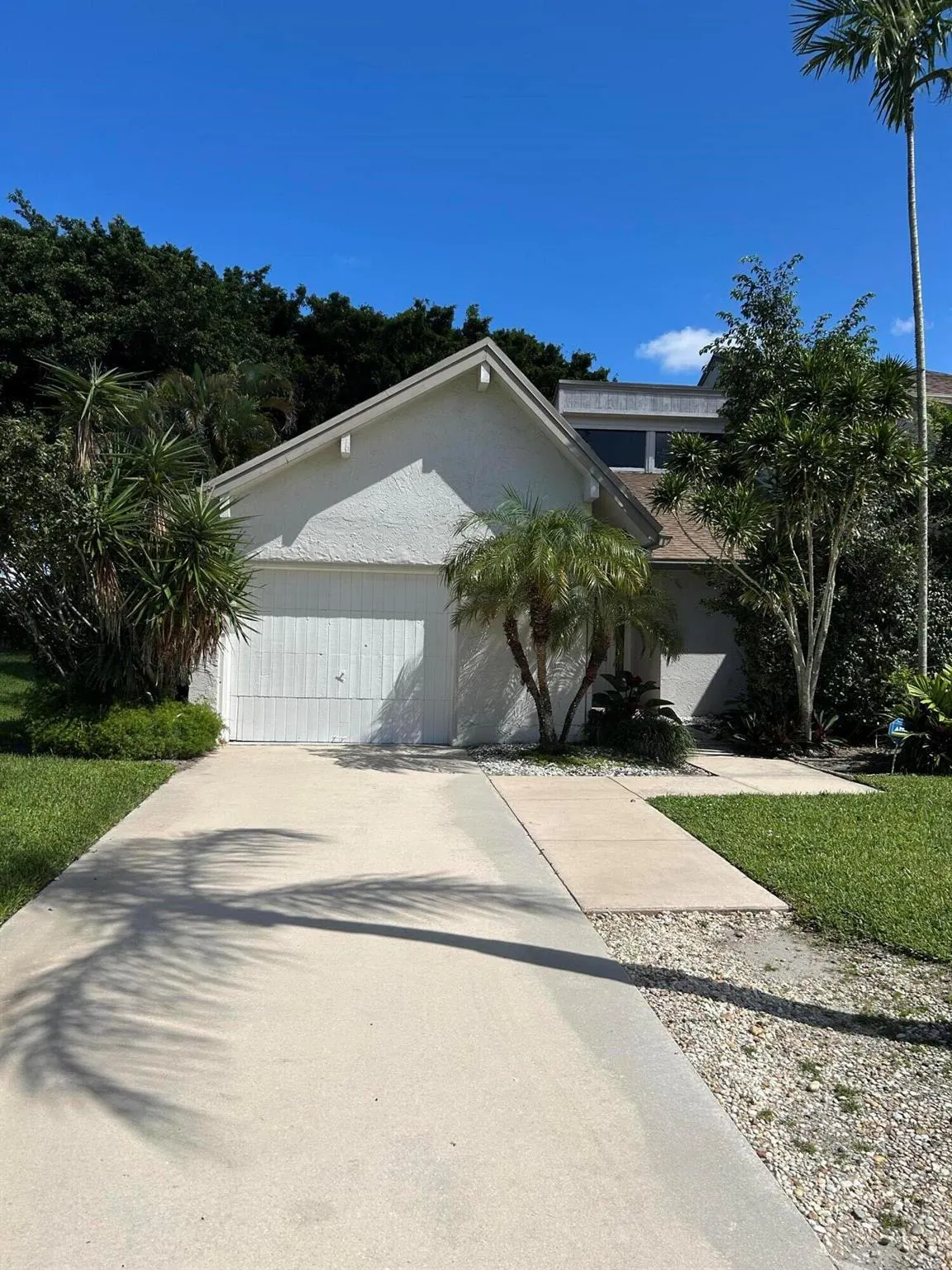 6668 Canary Palm Circle, #11