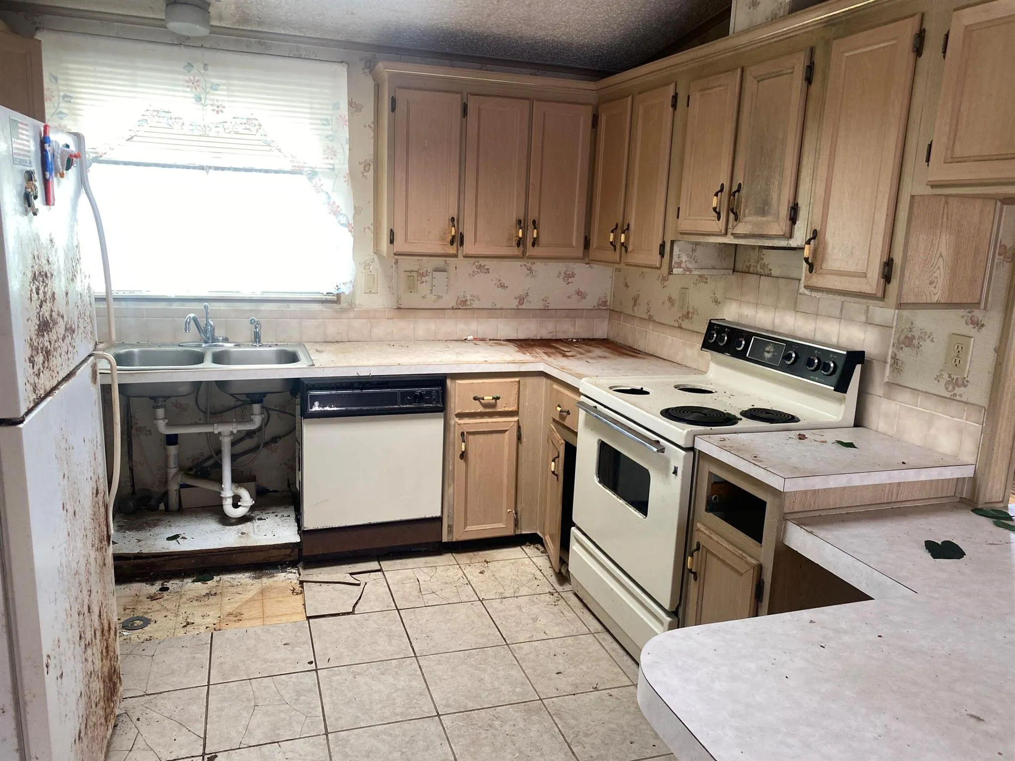 8526 Lidflower Court