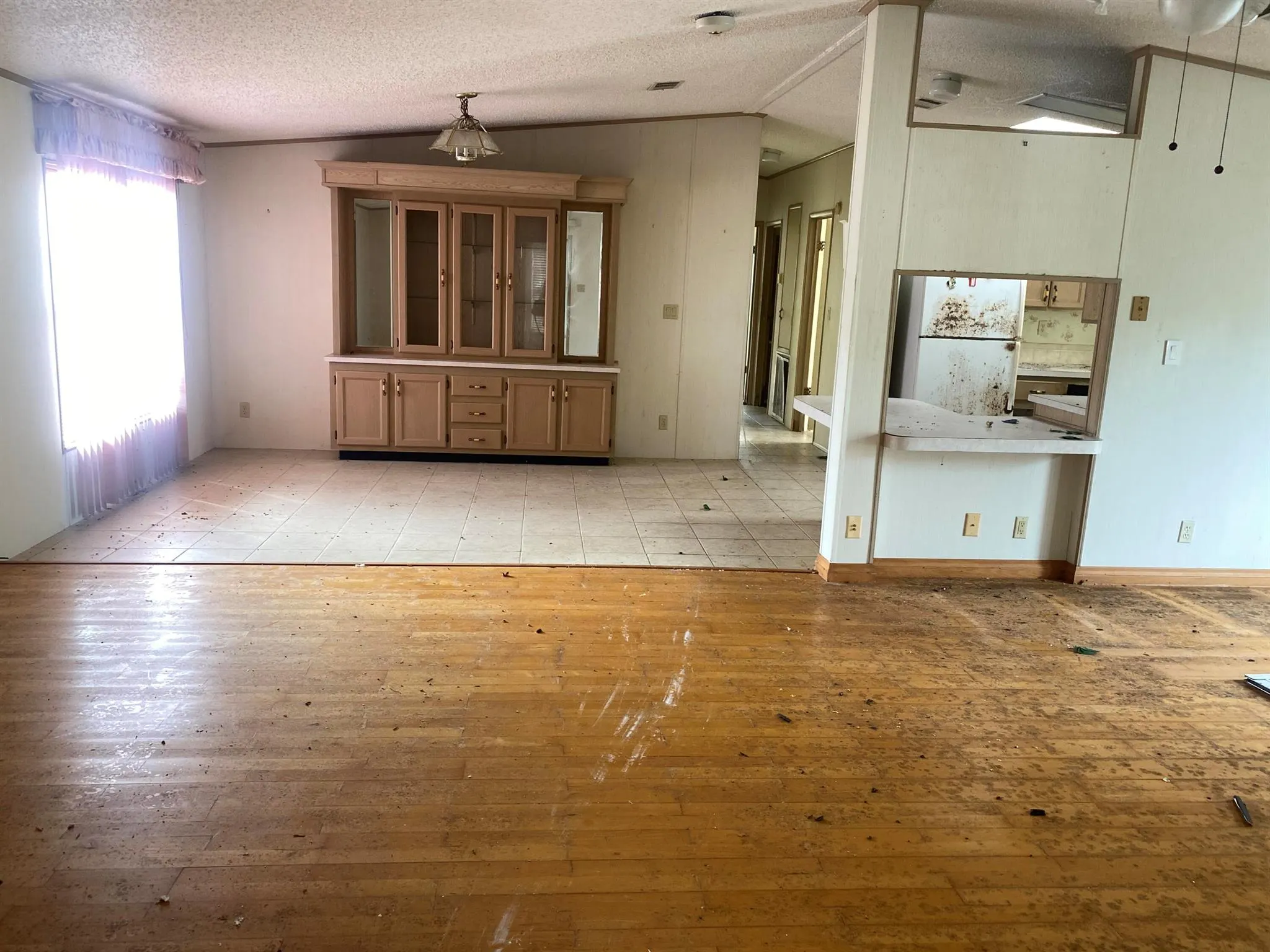 8526 Lidflower Court