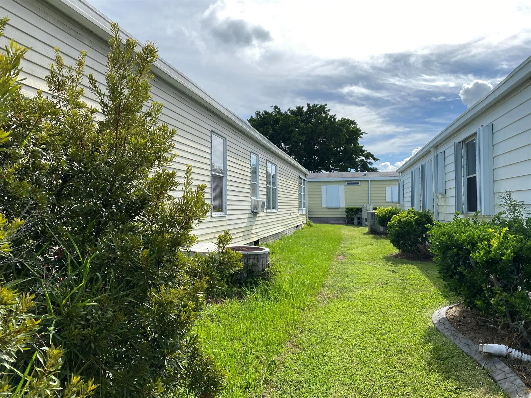 8526 Lidflower Court