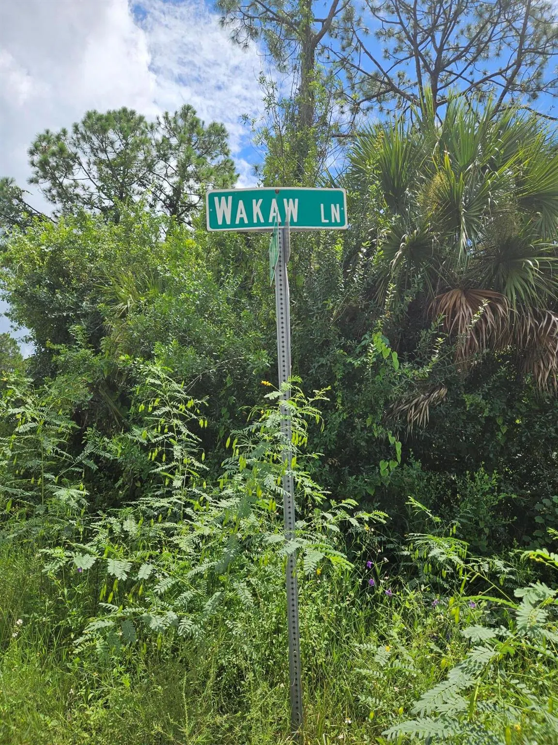 307 Wakaw Lane SW