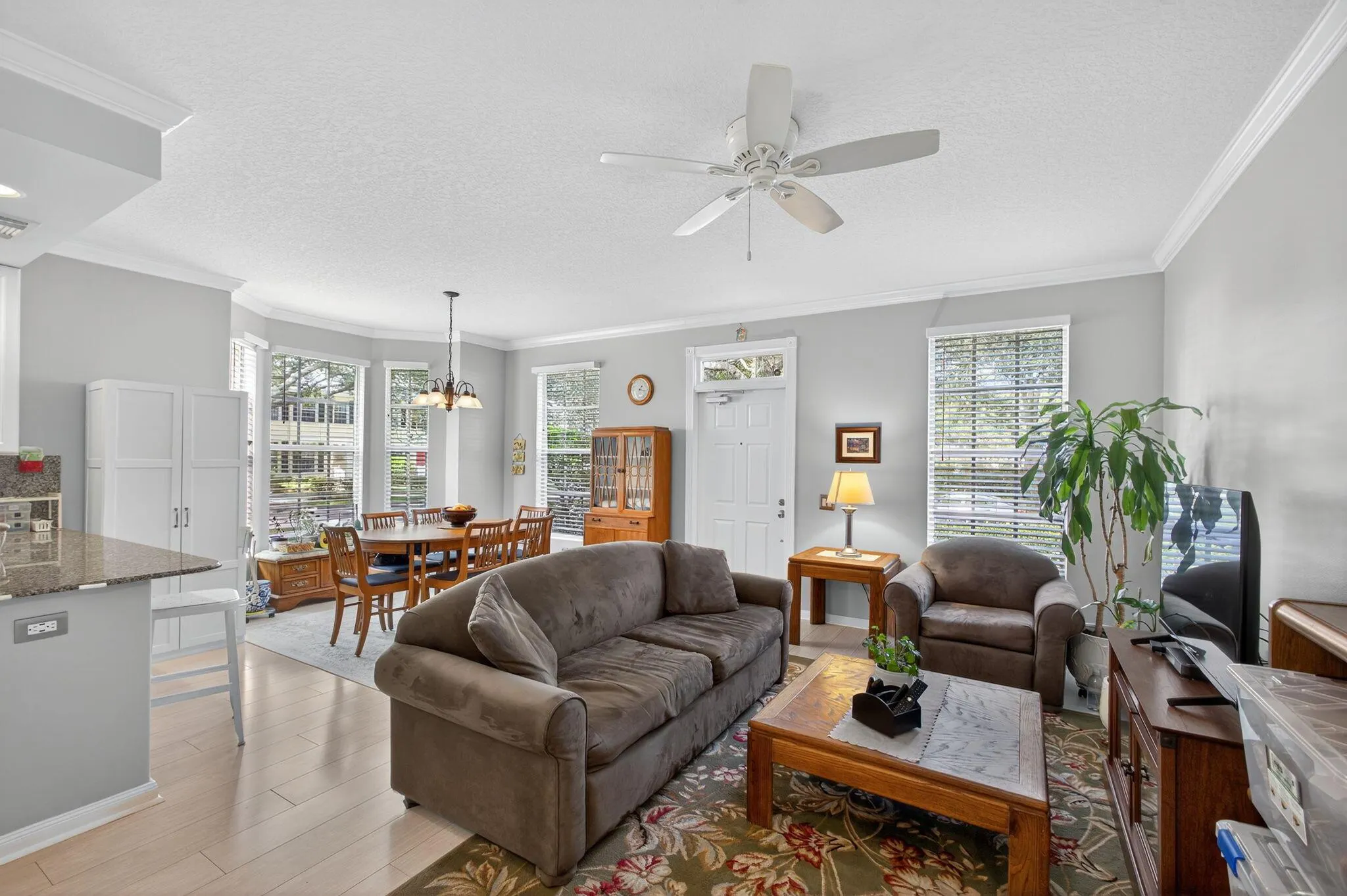 246 Iris Drive