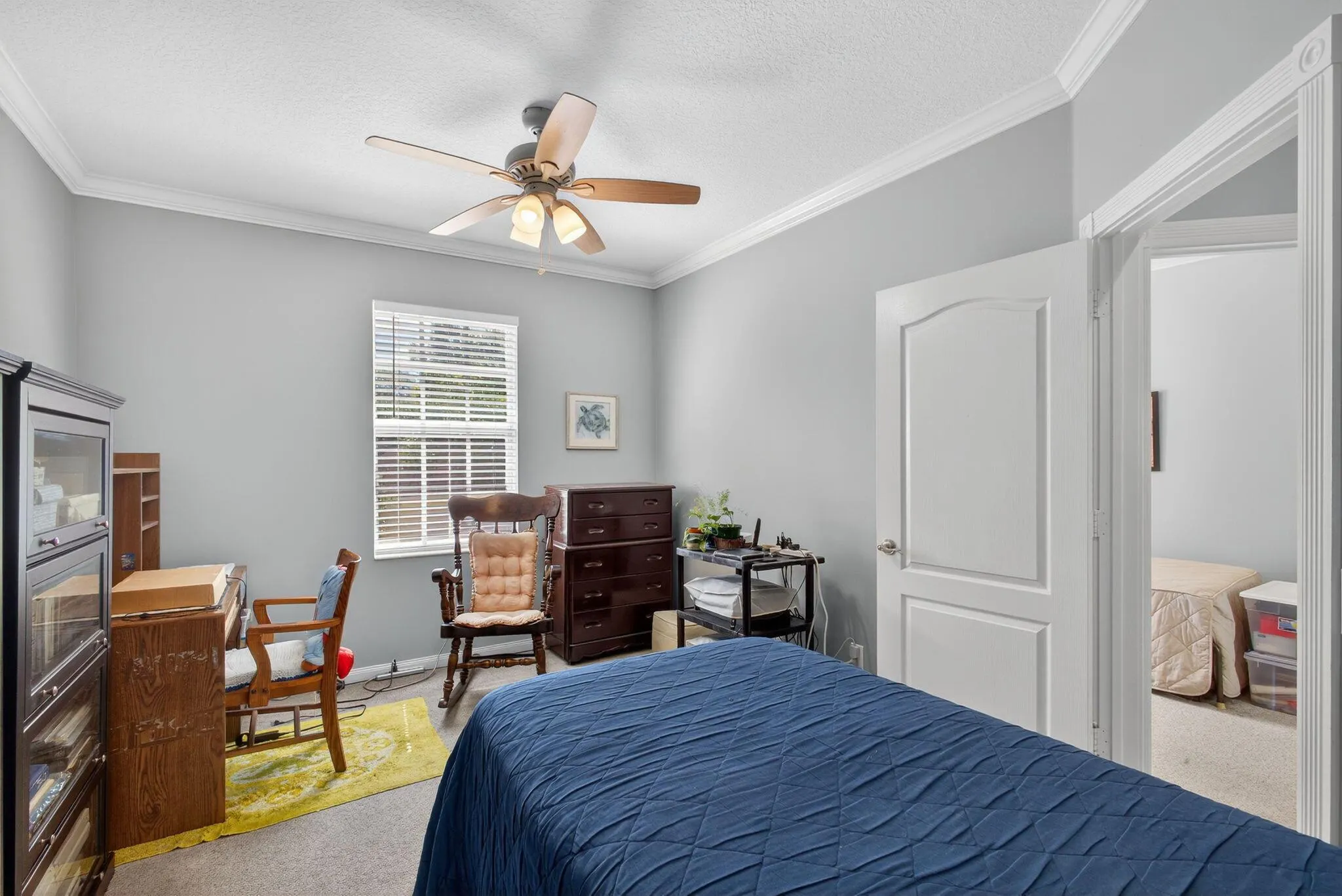 246 Iris Drive