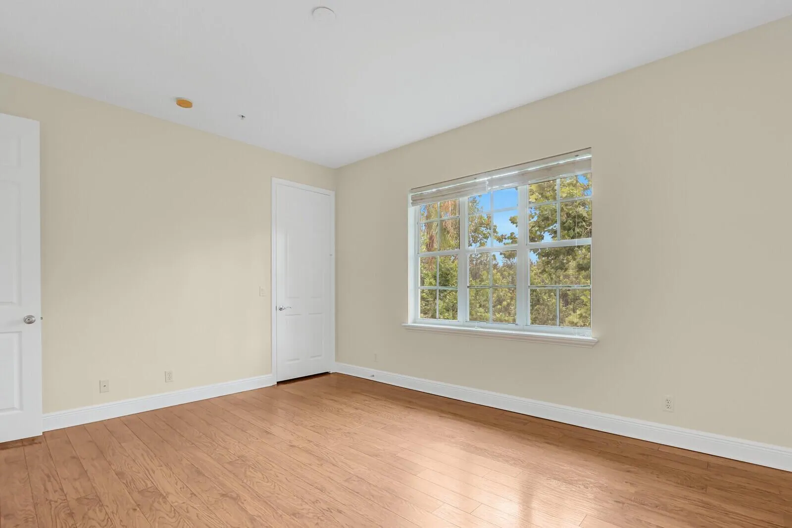 119 Osceola Lane