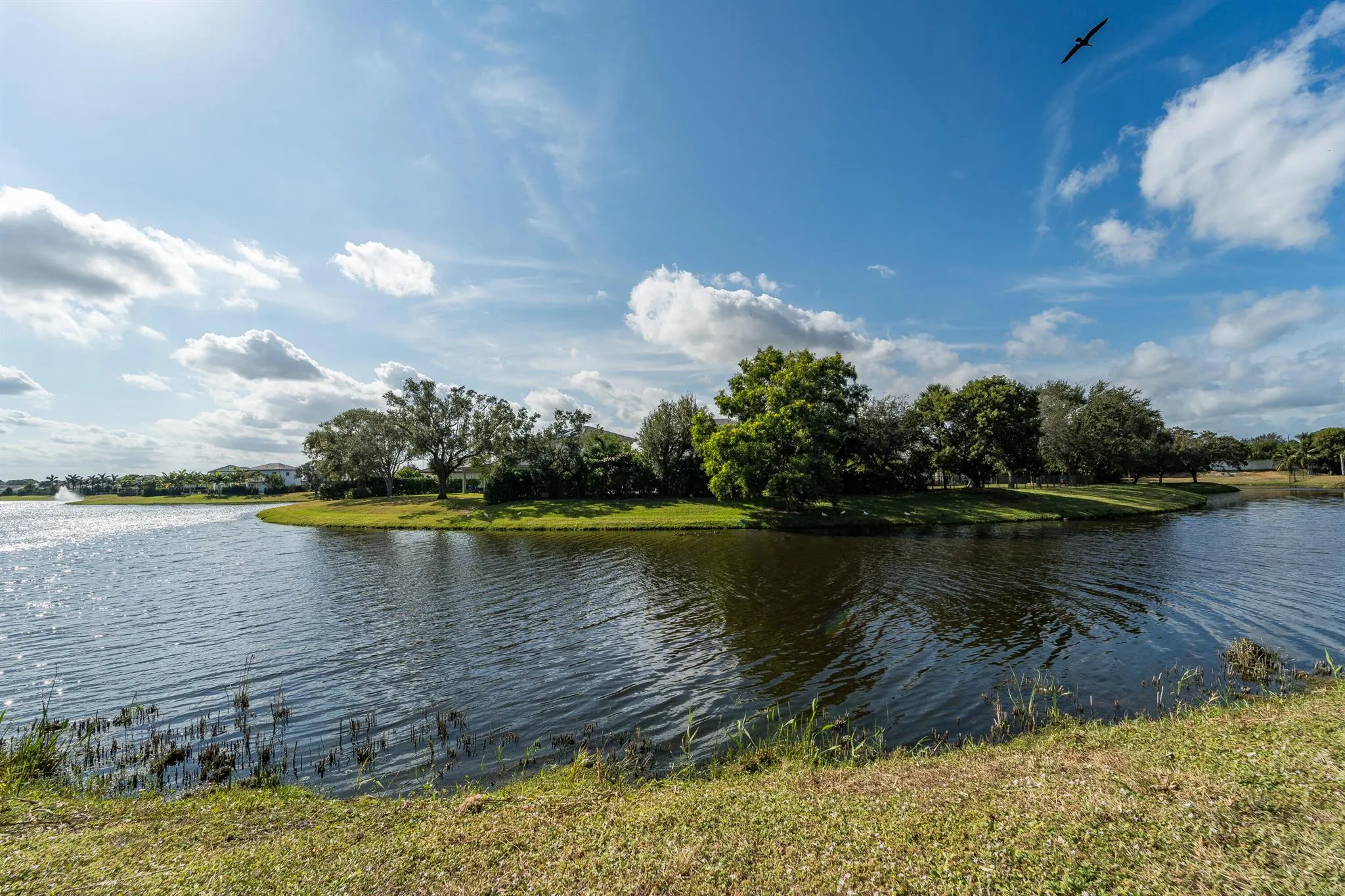 3636 Whitehall Drive, #401