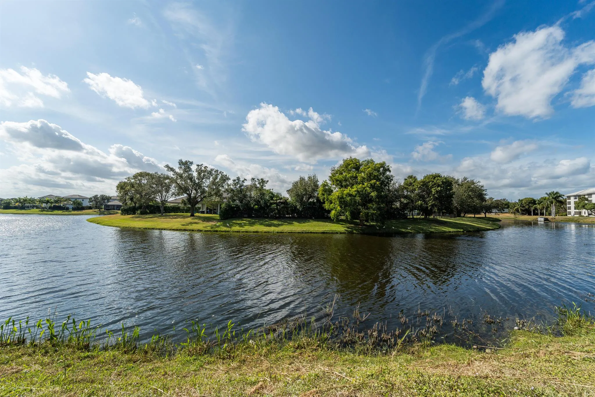 3636 Whitehall Drive, #401