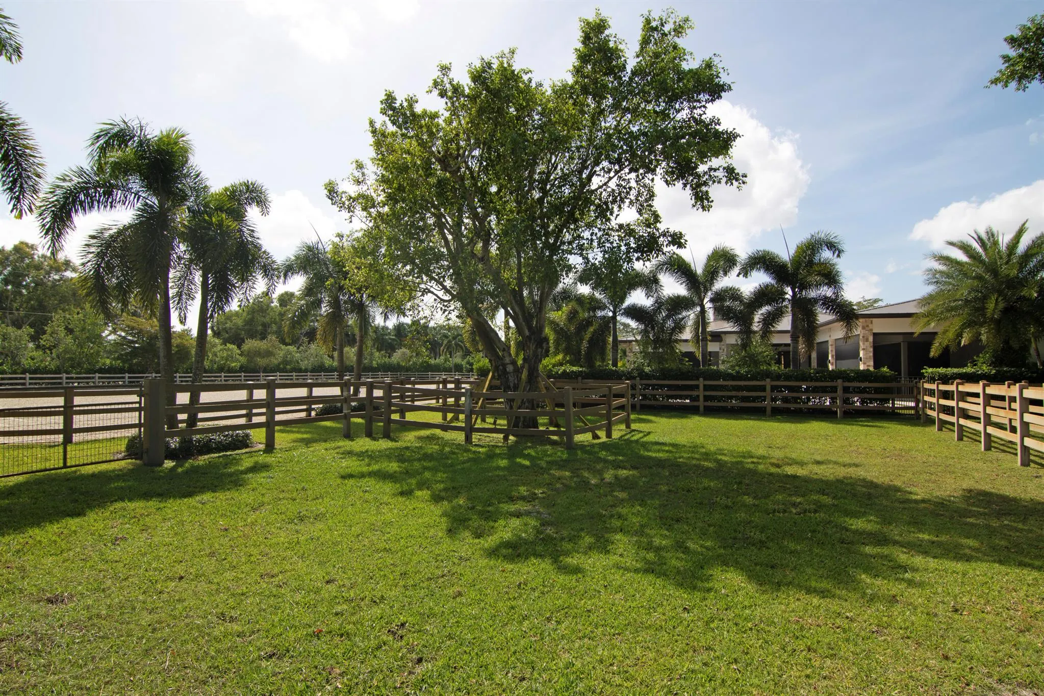 2022 Appaloosa Trail