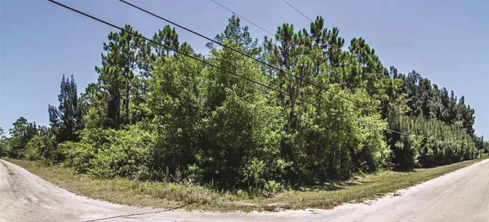 12496 148th Road N