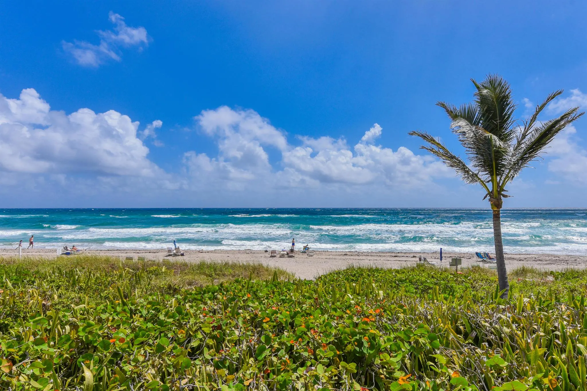 3310 S Ocean Boulevard, #631d