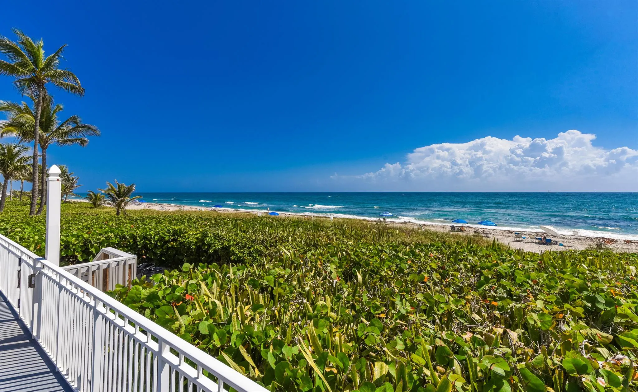 3310 S Ocean Boulevard, #631d