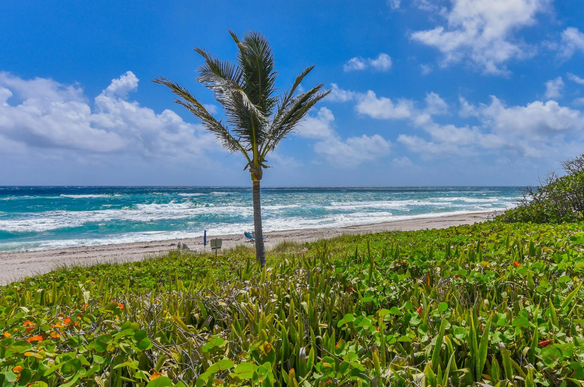 3310 S Ocean Boulevard, #631d
