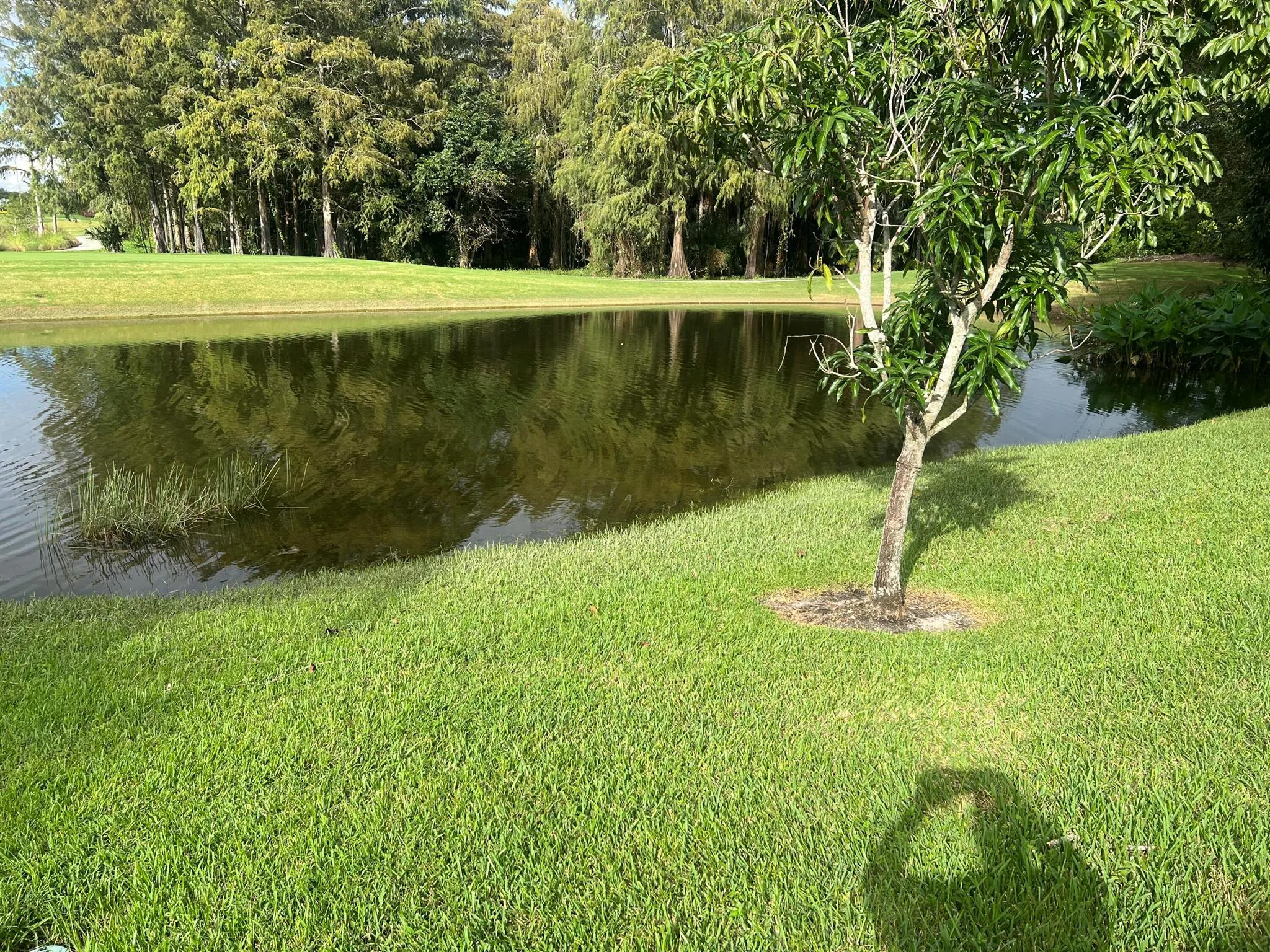 4638 Carlton Golf Drive