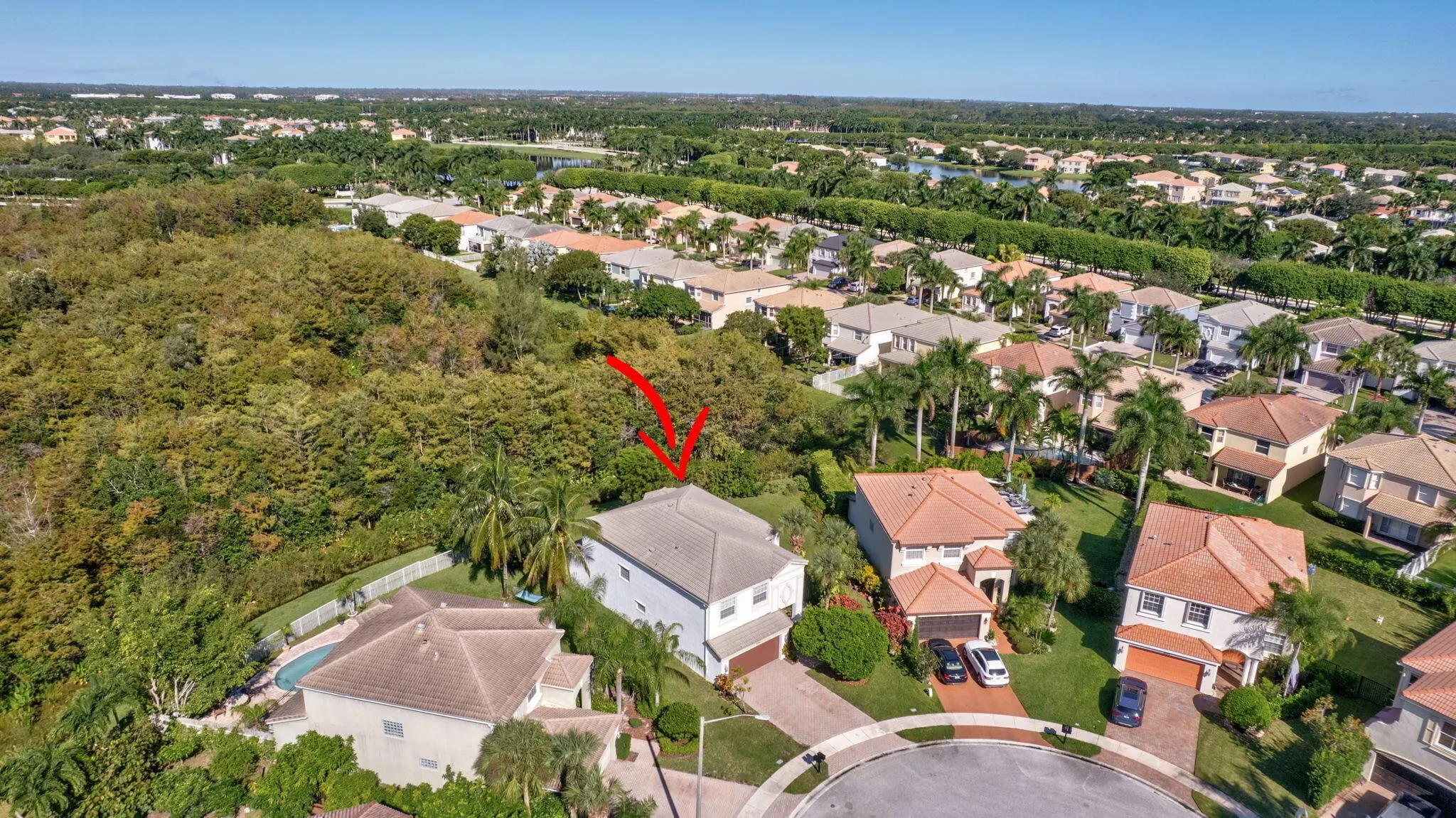 9193 Bryden Court