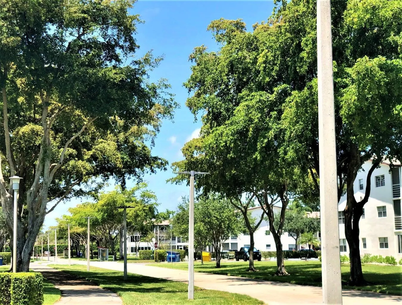 273 Mansfield G, #273