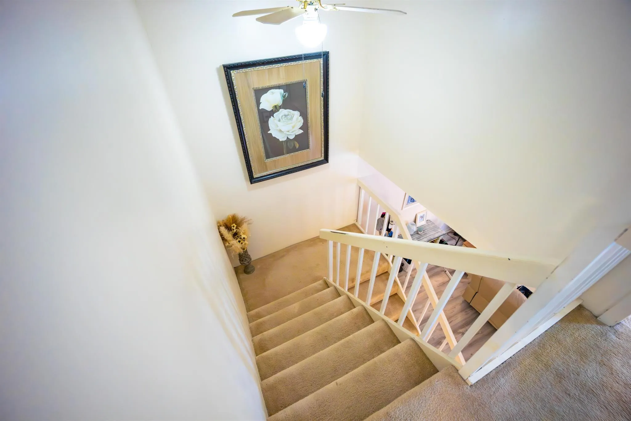 141 Ocean Cove Drive