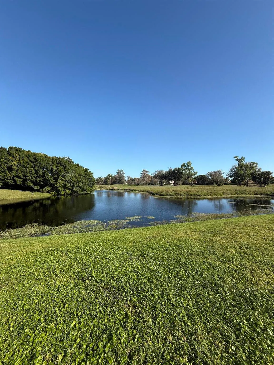 2040 Greenview Shores Boulevard, #204