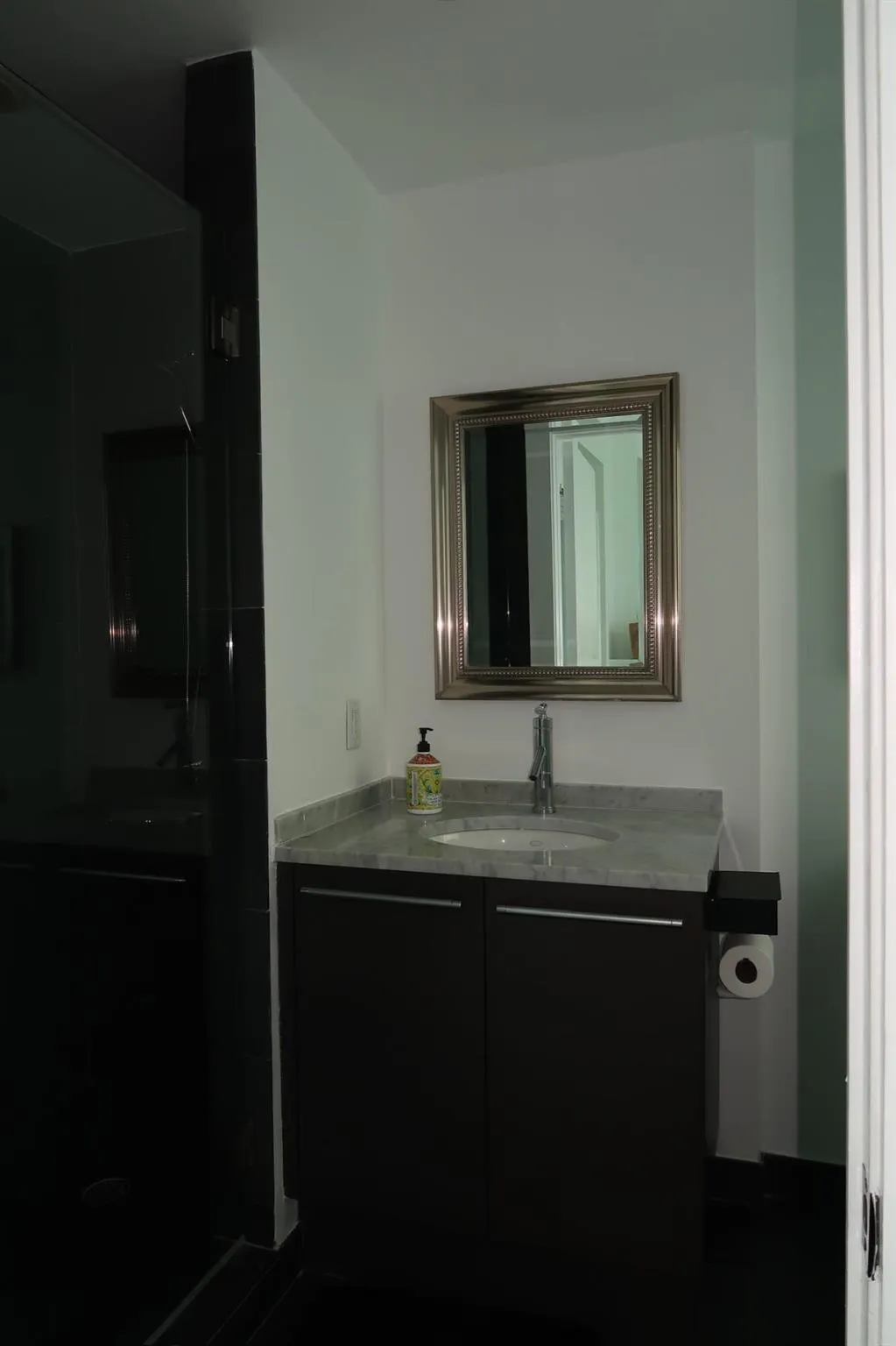 900 Biscayne Boulevard, #4812