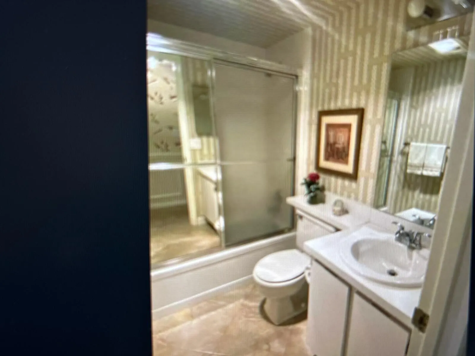 3212 Strawflower Way, #206