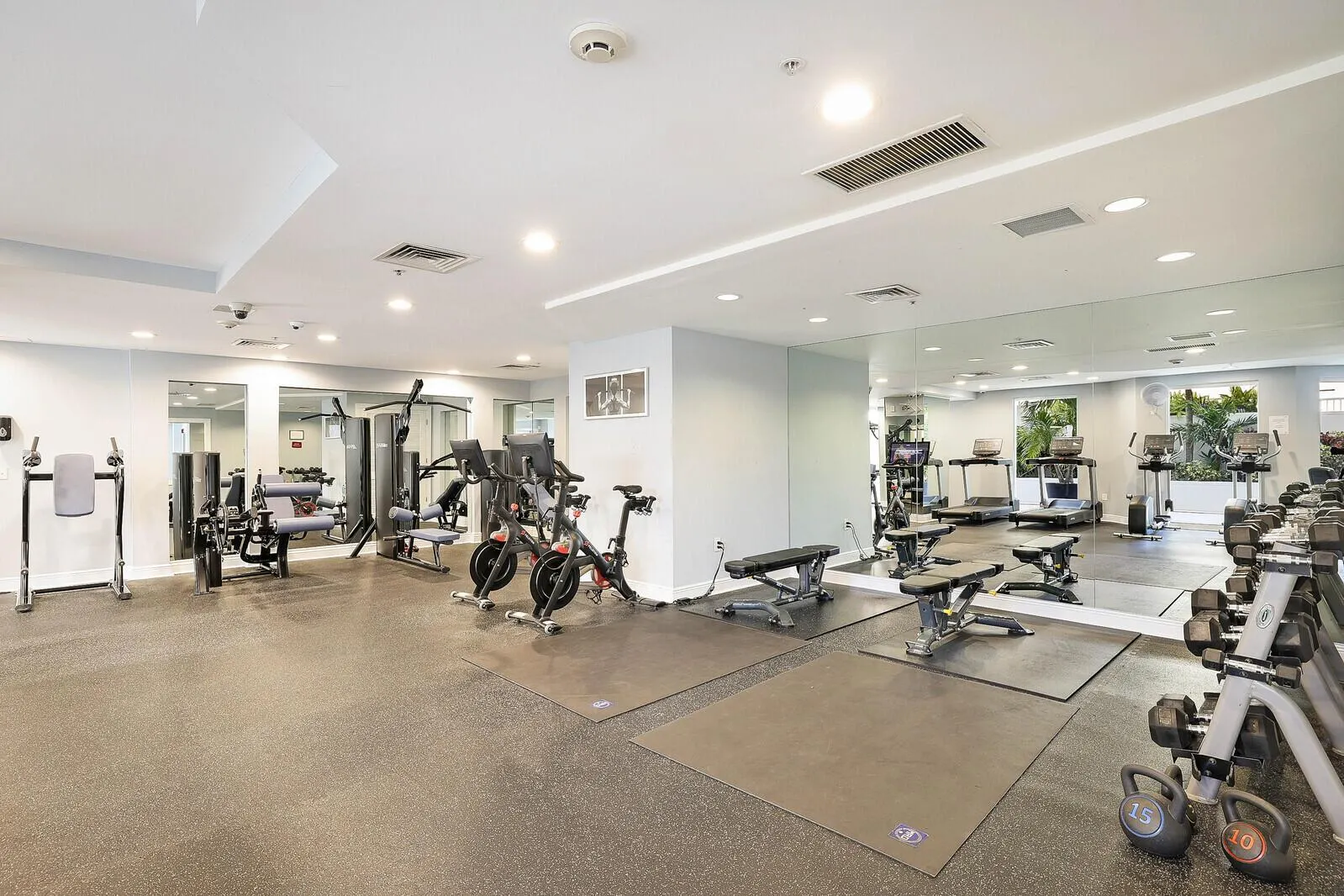 255 Evernia Street, #1115