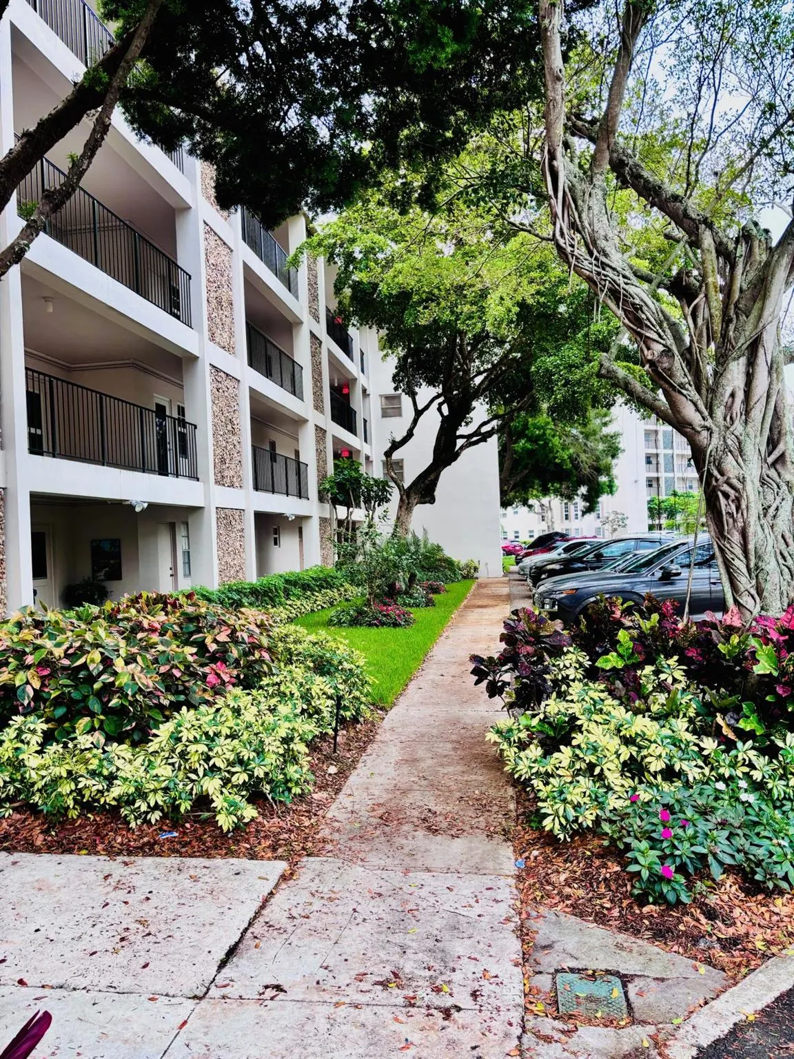 2900 N Palm Aire Drive, #206