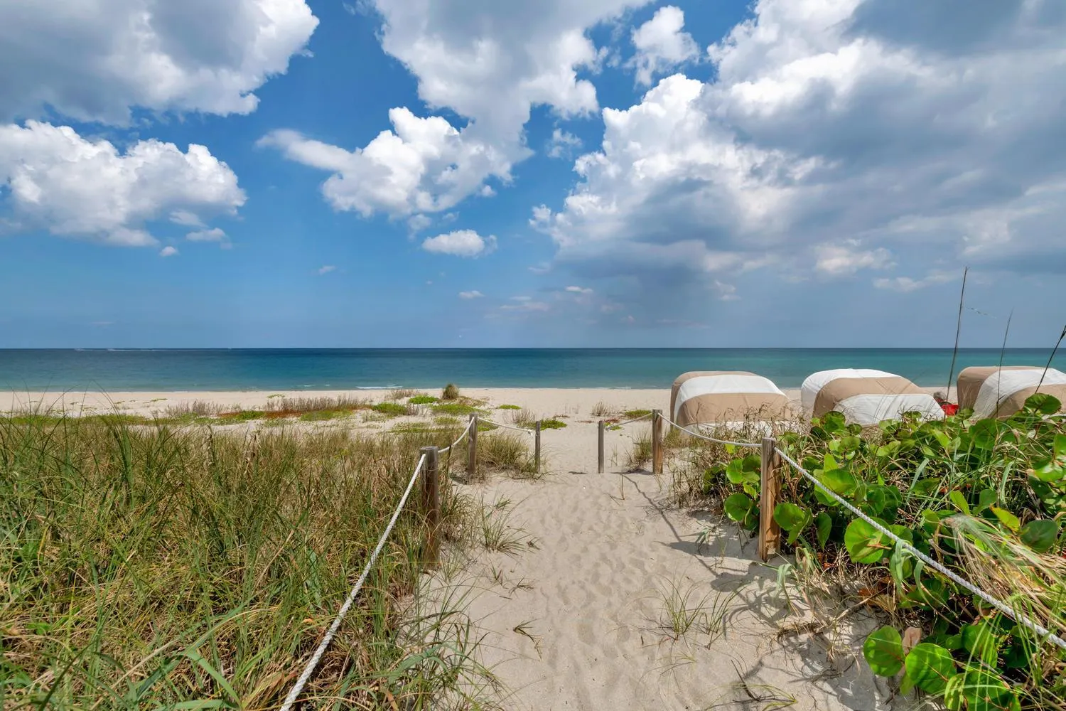 2580 S Ocean Boulevard, #1c3