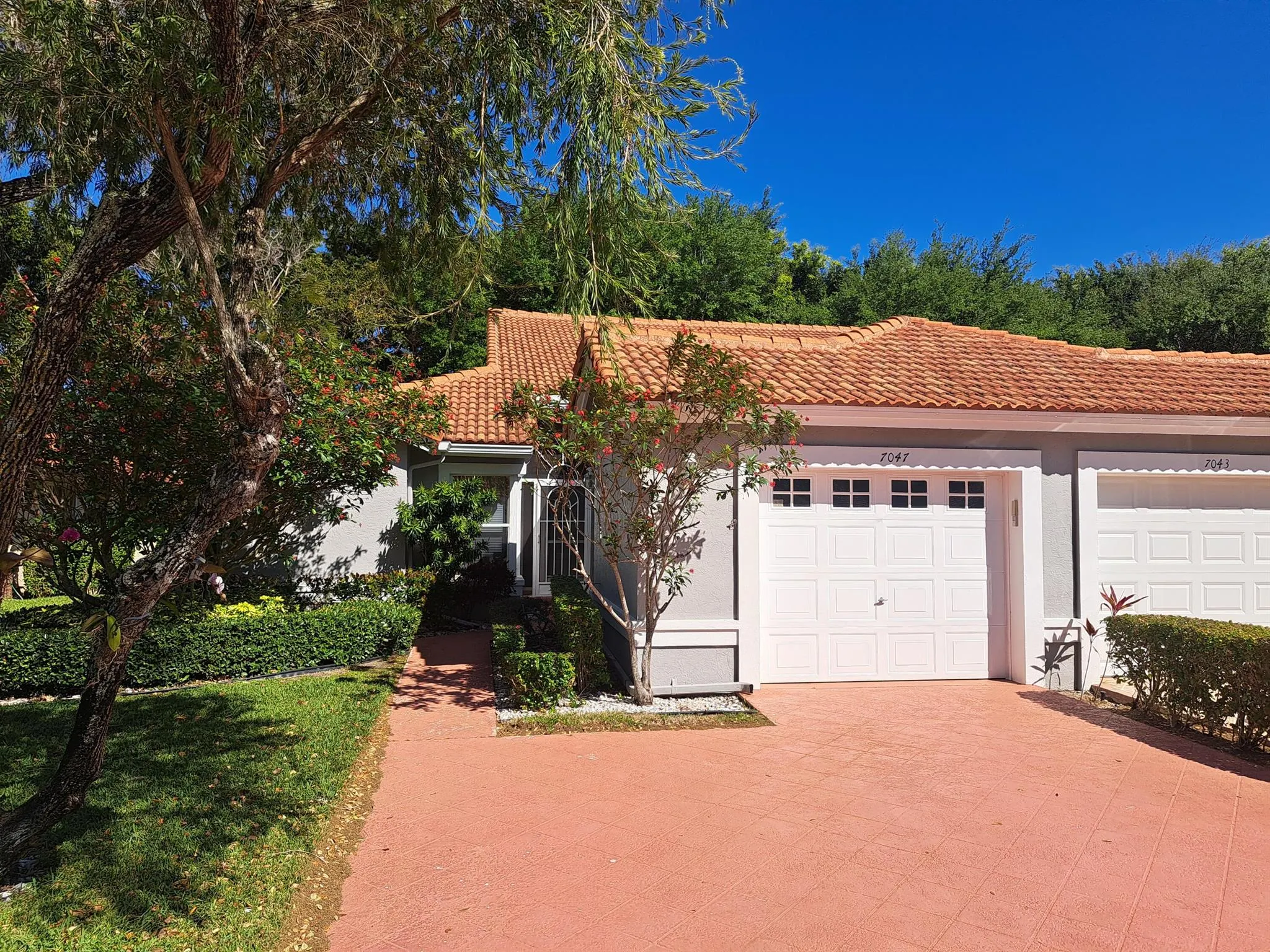 7047 Summer Tree Drive