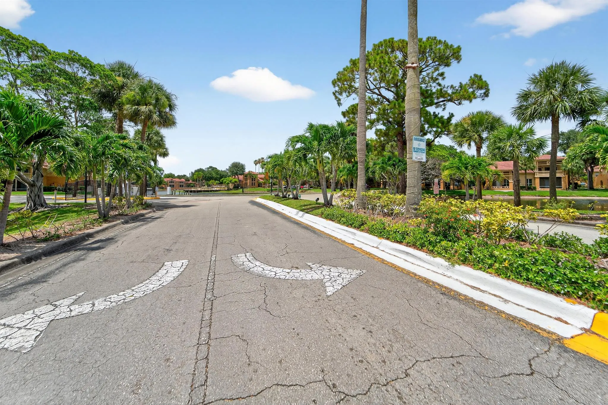 4807 Via Palm Lakes, #1501