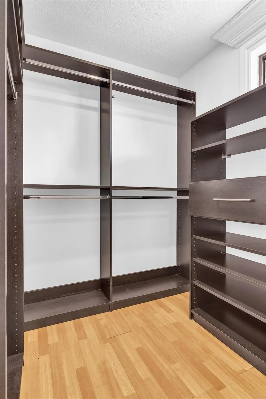 10296 Windswept Place