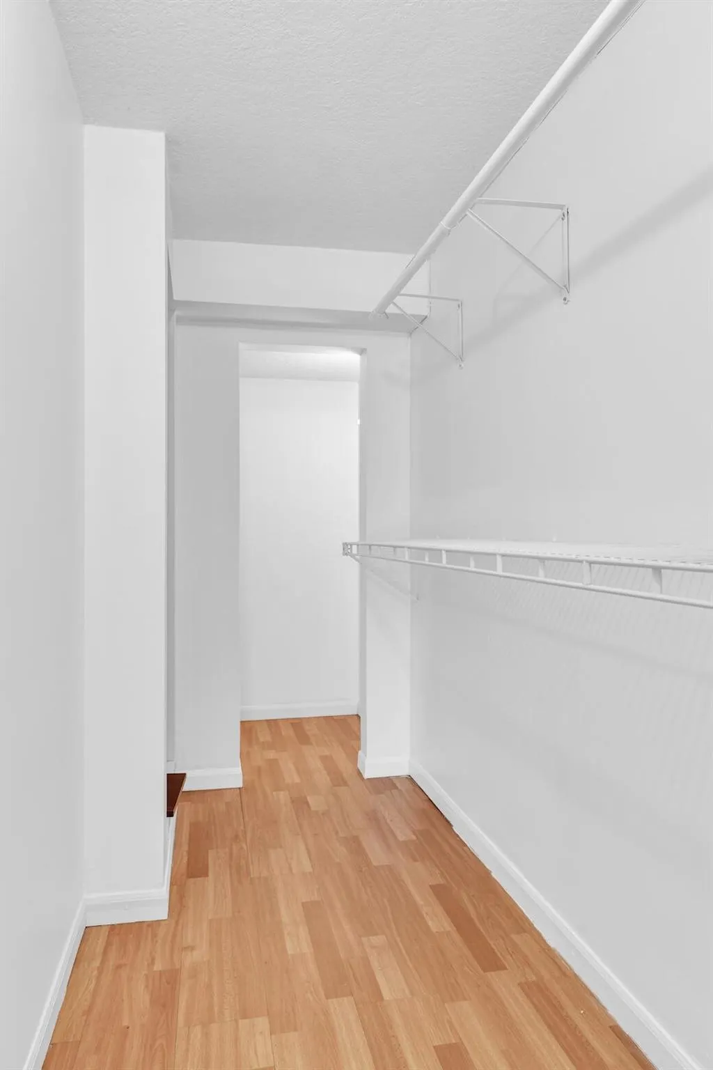 10296 Windswept Place