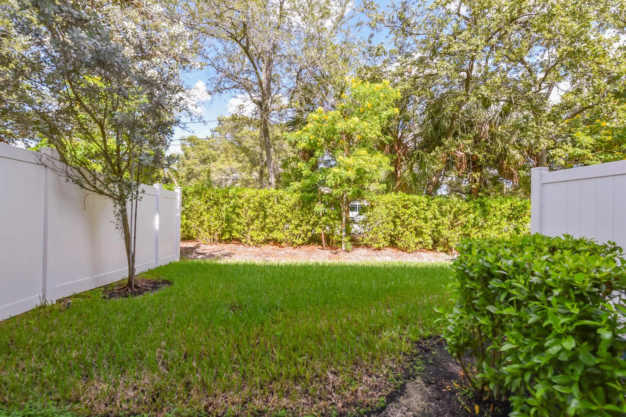 4519 Hollister Avenue