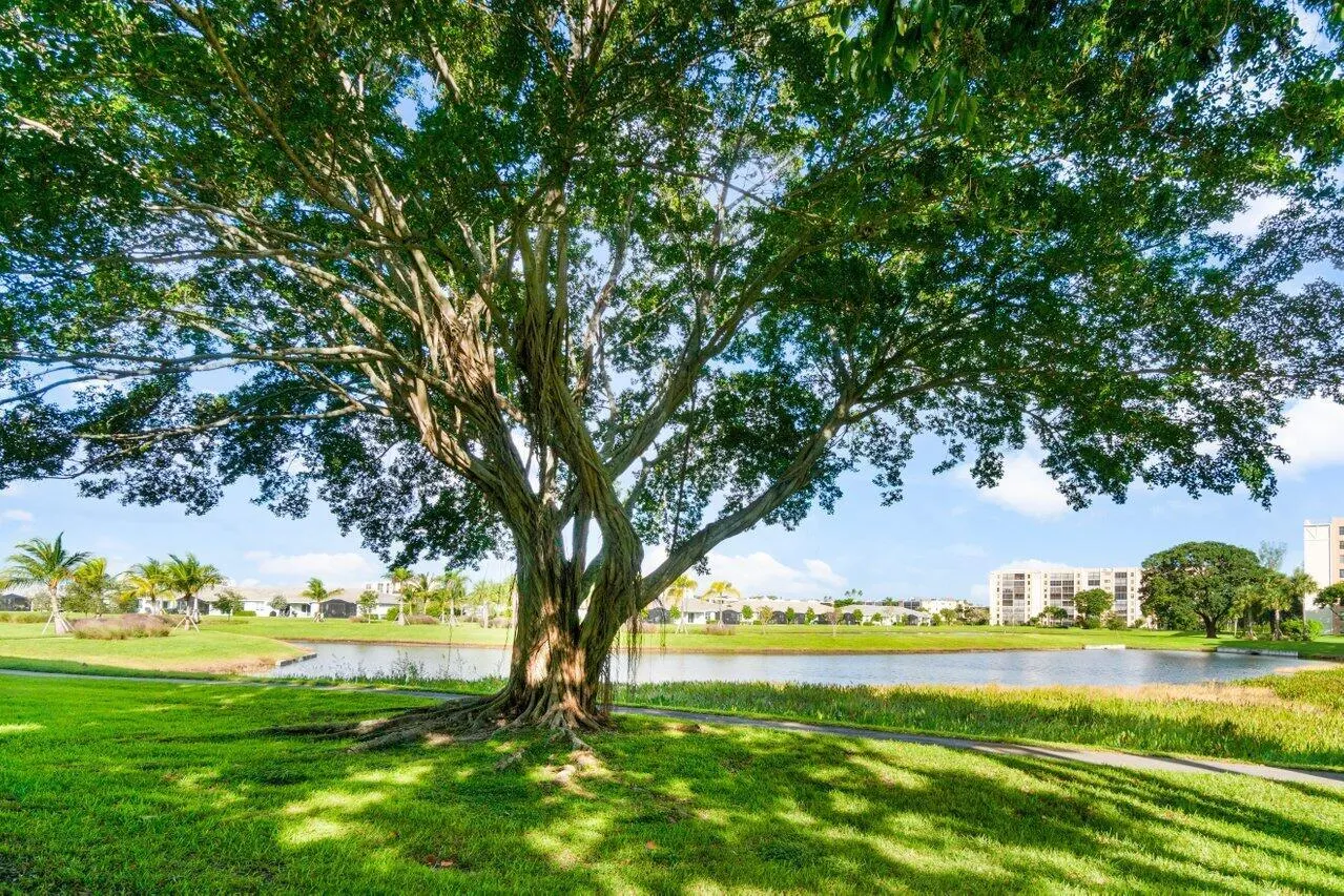 14623 Bonaire Boulevard, #405