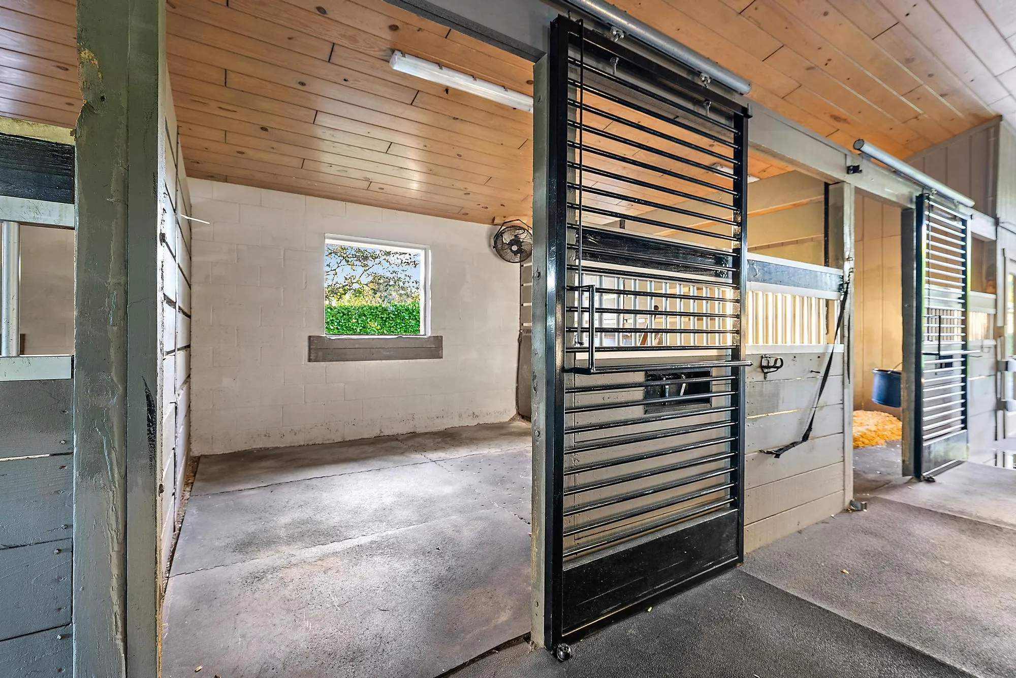 2873 Appaloosa Trail