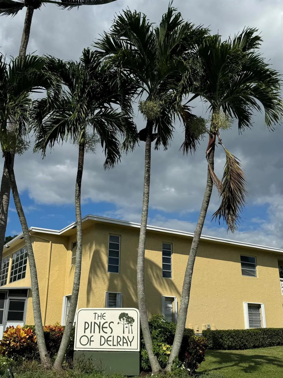 1141 Violet Terrace, #202