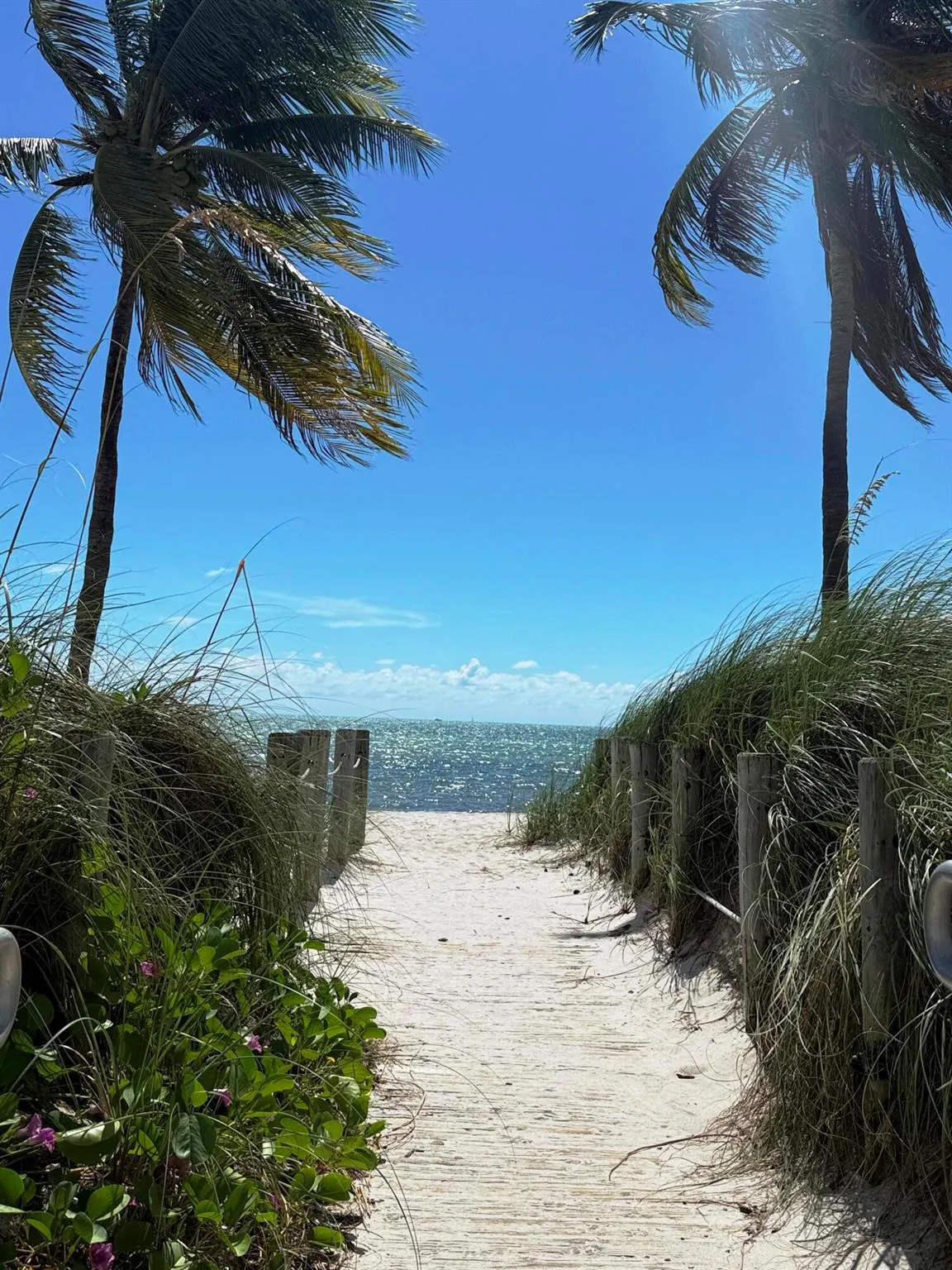 2601 S Roosevelt Boulevard, #608b